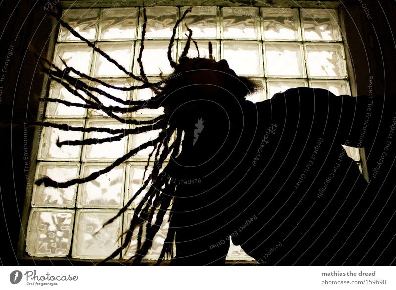 SHAKE YOUR HAIR FOR ME Silhouette Human being Man Hair and hairstyles Dreadlocks Swing Movement Action Window Back-light Shake Rotate Free Light heartedness