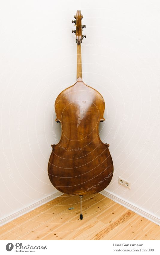 Double bass from behind Art Music Concert Musical instrument Wood Inspiration Performance Luxury School Colour photo Interior shot Deserted Copy Space left