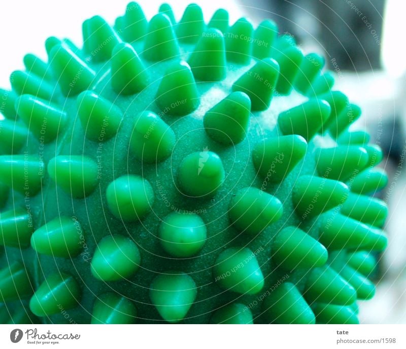 rubber studs Rubber Burl Green Things Close-up massage ball