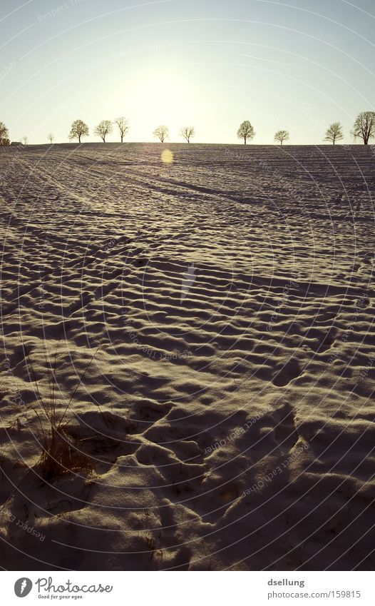 Tracks in the snow Winter Snow Sunset Horizon Grass Field Footprint Cold parked in the parking lot