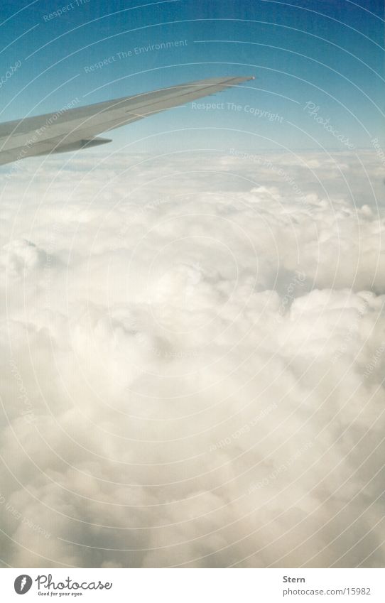 over the clouds... Airplane Clouds Horizon Wing Cotton candy Sky Blue Flying Level