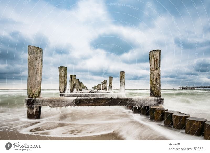 Stage at the Baltic Sea coast Relaxation Vacation & Travel Tourism Beach Winter Nature Landscape Water Clouds Coast Cold Blue Idyll Calm Break water Ice Zingst