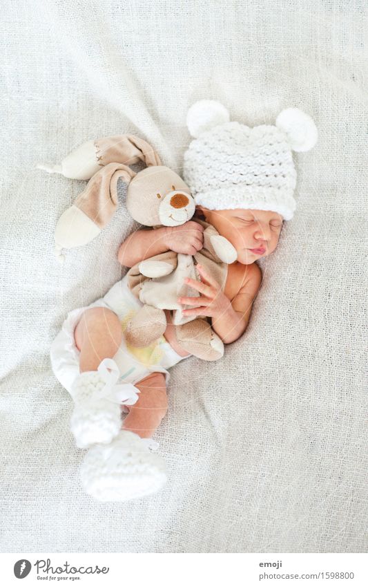 snuggle Masculine Baby Infancy 1 Human being 0 - 12 months Cap Cuddly Small White Cuddling Sleep Cuddly toy Colour photo Interior shot Neutral Background Day