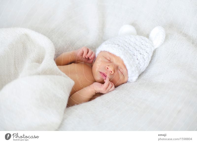 Newborn Bed Baby Infancy 1 Human being 0 - 12 months Cap Cuddly Small Sleep Dream Colour photo Interior shot Neutral Background Day Shallow depth of field
