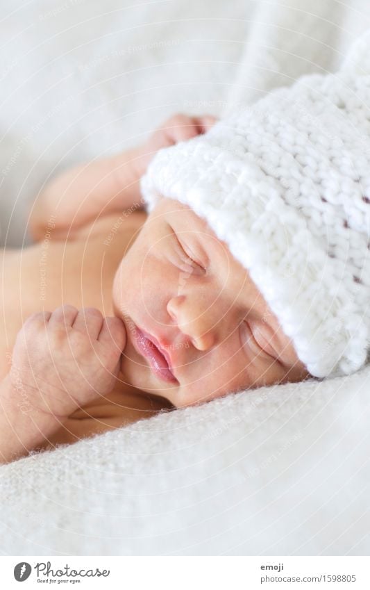 sleep Baby Infancy Face 1 Human being 0 - 12 months Cap Sleep Bright Cuddly Small White Colour photo Interior shot Close-up Day Shallow depth of field