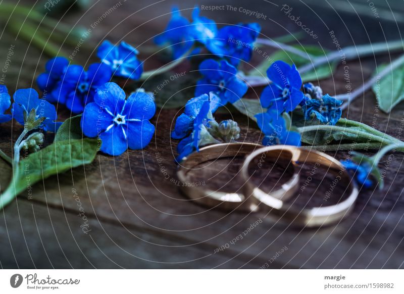 Don't forget my flowers with two wedding rings, engagement rings on a wooden table Feasts & Celebrations Wedding Plant Flower Leaf Blossom Wood Blue Gold Trust