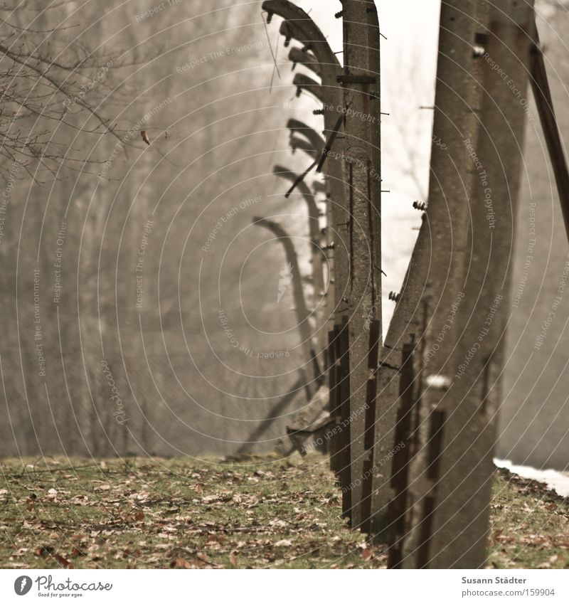 1945 Liberation Concentration camp Beech wood Fear Chase Death Murder Barbed wire Rust Metal Metalware Stone Fence Protection Safety Remember Monument Detail