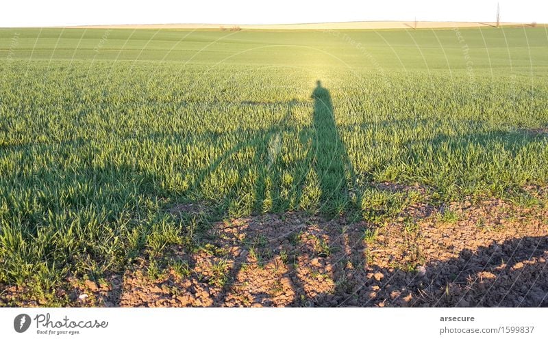 Spring by bike Contentment Calm Leisure and hobbies Trip Far-off places Freedom Cycling tour 1 Human being Environment Nature Landscape Plant Earth Sky Horizon