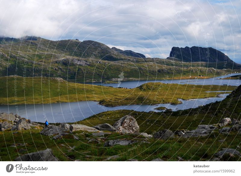 hiking in norway Landscape Clouds Hill Rock Mountain Bay Fjord Ocean To enjoy Looking Hiking Free Gigantic Maritime Green Lofotes Norway ryten Freedom wide