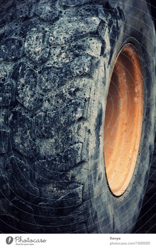 ripen Tire Strong Yellow Black Car Wheel Tire tread Round Exterior shot Close-up Deserted Day Light Shallow depth of field Colour photo Detail Rubber Pattern