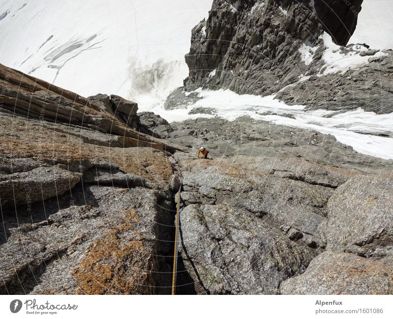 Long way to go Mountain Climbing Mountaineering Rock Alps Mont-Blanc du Tacul Glacier To fall Freeze Athletic Success Above Power Willpower Brave Determination