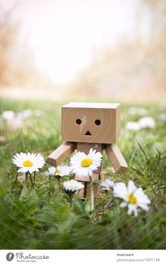 Mini Robot Meadow Grass Figure Flower meadow Spring Summer danboo danboard Cardboard Face Circle Triangle Green Nature Natural Exterior shot little man Toys