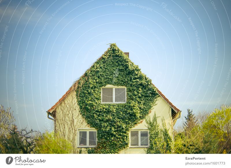 a family house Nature Landscape Plant Sky Cloudless sky Spring Climate Tree Bushes Ivy Leaf House (Residential Structure) Detached house Manmade structures