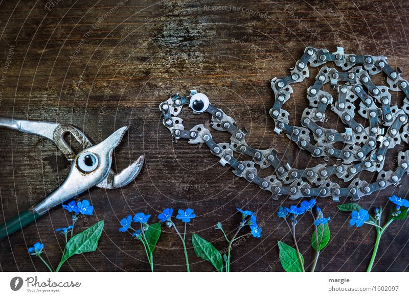 Actually I like you! A pair of pliers and a chainsaw with eyes and forget-me-not - flowers on a wooden background Work and employment Profession Gardening