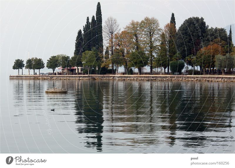 lago di garda Lake Garda Reflection Water Waves Fog Morning Promontory Bardolino Autumn Landscape Tree Lakeside Italy