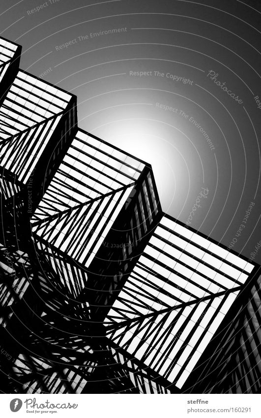 geometrix Sun Back-light Line Structures and shapes Pattern Geometry Black White Chic Cube Cubism Corner Three-dimensional Detail spatial
