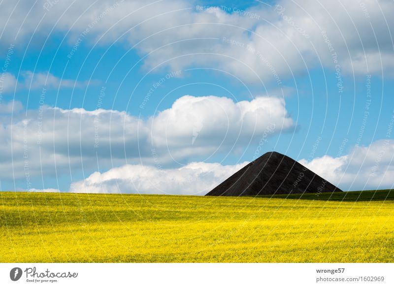 Pointed cone heap of the former copper mining in the Mansfeld district behind a blooming rape field Mining Environment Landscape Sky Clouds spring