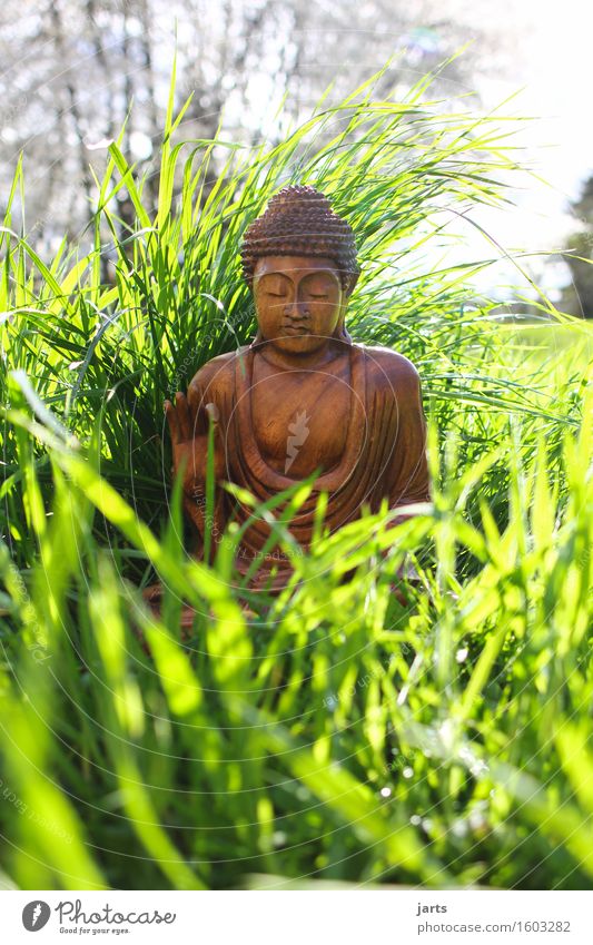 Buddha 1 Human being Beautiful weather Plant Grass Garden Meadow Decoration Wood Sit Optimism Caution Serene Patient Calm Self Control Hope Belief Life