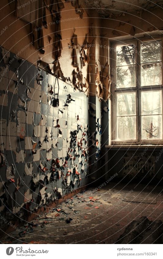 The time dokoriert around Window Room Location Decline Vacancy Light Transience Time Life Memory Tile Destruction Old Military building Trash Kitchen Derelict