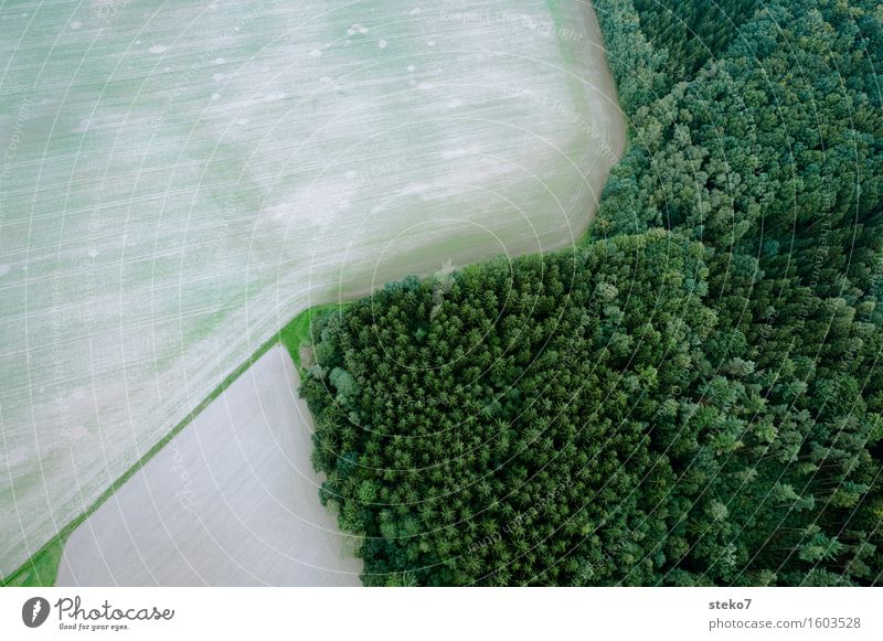 Top Field Forest Flying Tall Above Brown Green Fear of heights Balloon flight Edge of the forest Margin of a field Lined Structures and shapes Aerial photograph
