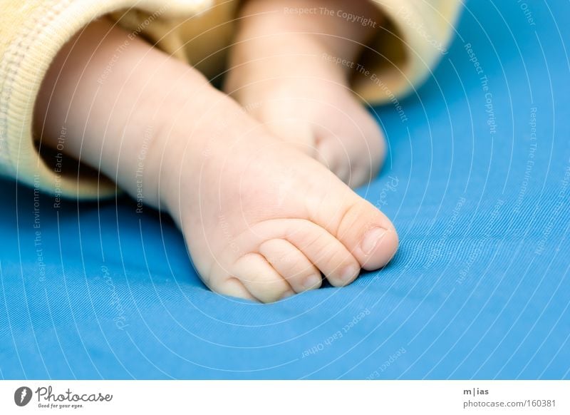 always stay on the carpet. Feet Baby Toes Legs Contrast Turquoise Growth Trust Brave Walking Delicate Caution Fragile Toddler Single parent Barefoot