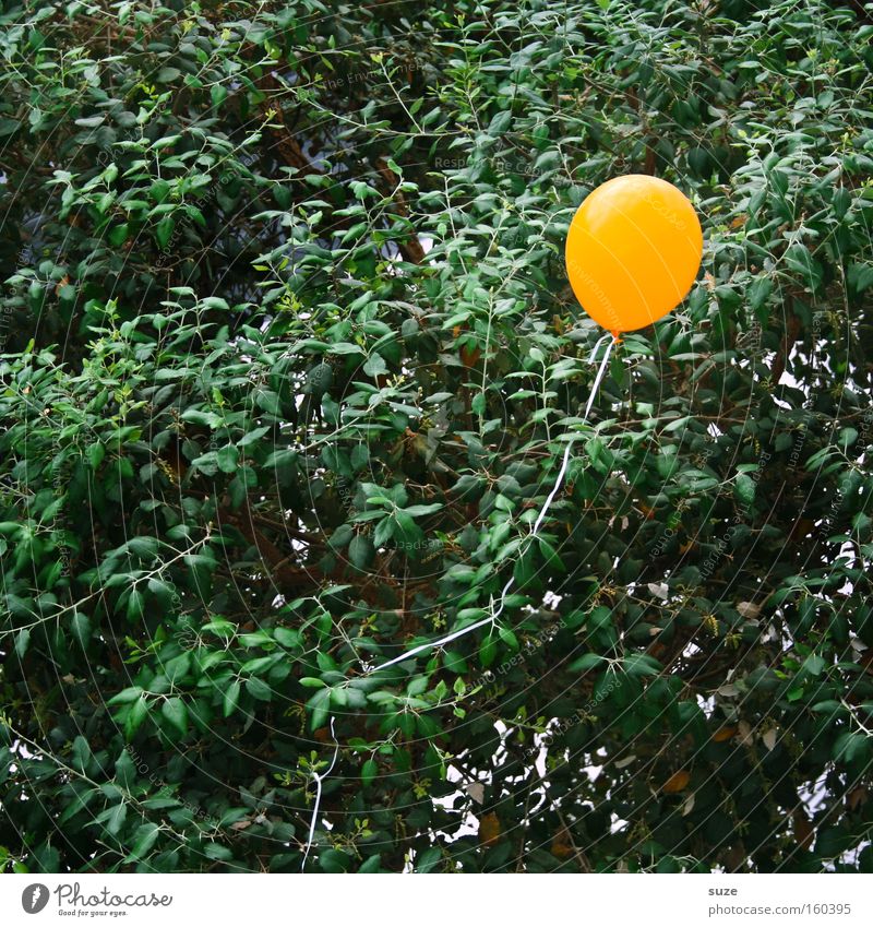 One of 99 Balloon Yellow Blow Birthday Feasts & Celebrations Rubber Tree Flying Air Decoration Loneliness Balloon flight Bursting Claustrophobia Aviation nena