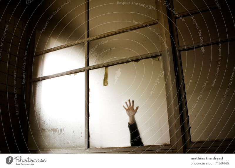 HELP I AM A STAR ... Window pane Frame Glass Room Architecture Dark Gloomy Threat Eerie Bright Shadow Hand Catch Grasp Panic Derelict Fear Arm
