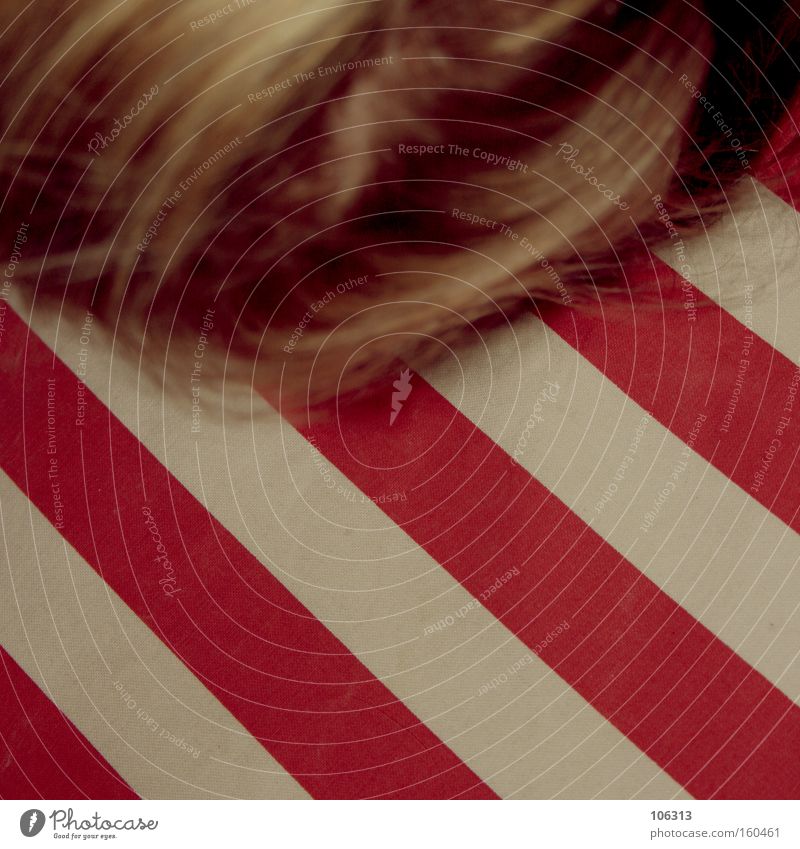 Photo number 115154 Red White Stripe Eastern American Chipmunk Pattern Colour Dye Line Diagonal Cushion Lie Sleep Hair and hairstyles Human being Blonde