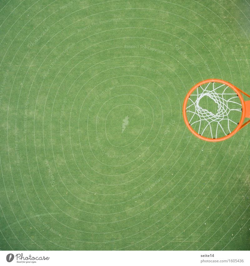 Basketball basket from a bird's eye view. Orange, green, net. Bird's-eye view Sports Copy Space Green Basketball arena Line Grass Leisure and hobbies Lower