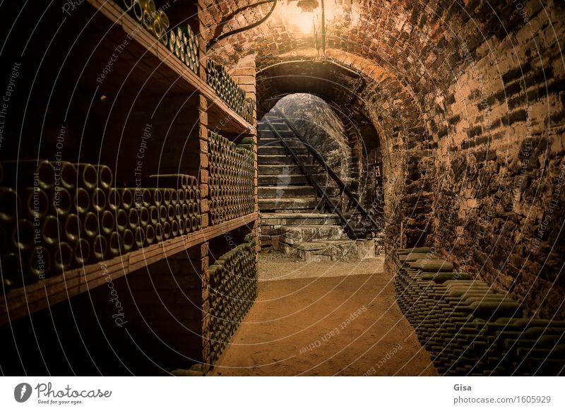 Wine cellar (staircase) Gastronomy Storage Cellar arch Cellar stairs Bottle of wine Wine growing Winegrower Austria Europe Village Cellar wall Stairs Stone Sand