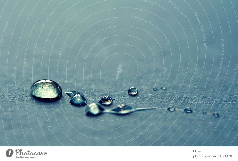 trickle Beautiful Water Drops of water Jewellery Glittering Cold Noble Dew Background picture Fresh Wellness Fine Detail Reflection Blue Purity Pure Close-up