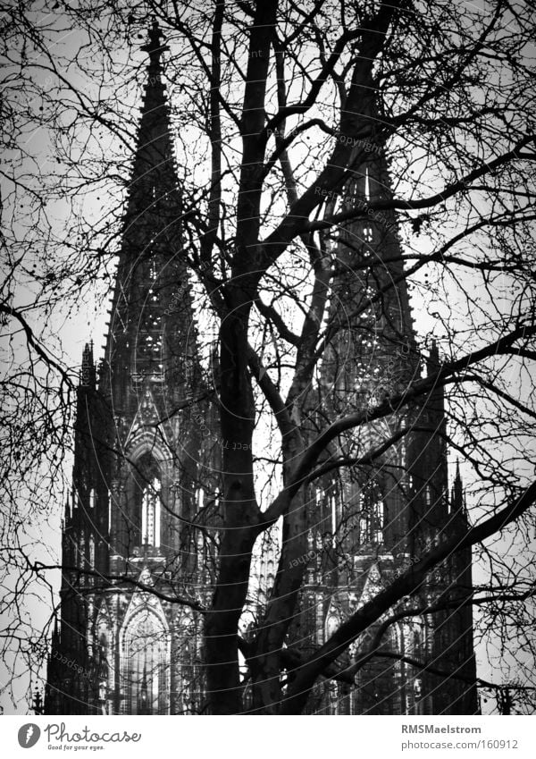 Der Kölner Dom Cologne Dome Church Germany Tourist Attraction Tree Abstract Black & white photo Dark House of worship köln kölner dom wwII