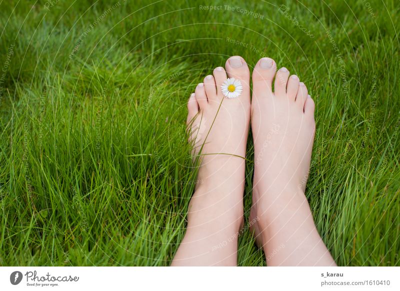 barefoot Lifestyle Vacation & Travel Trip Summer Human being Feet 1 Grass Relaxation Happiness Happy Green Joy Contentment Joie de vivre (Vitality) Nature
