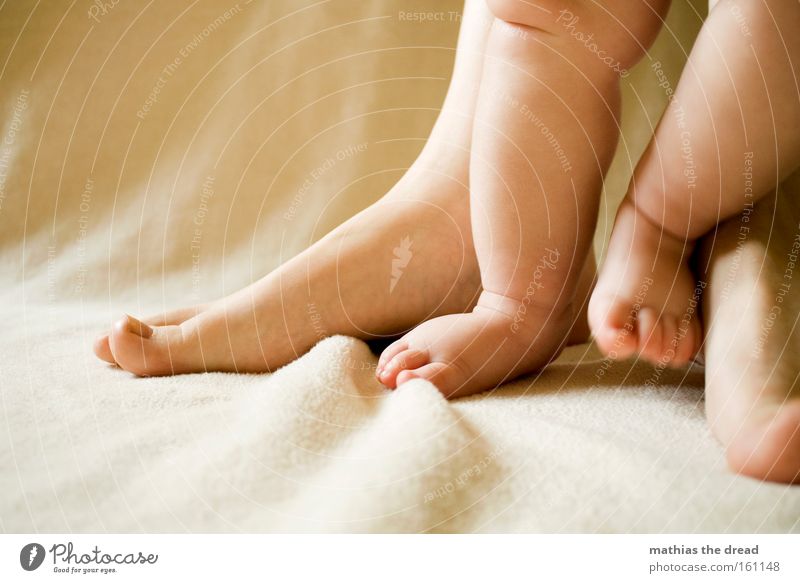 PATSCHE Feet Legs Human being Parts of body Toes Small Mother Child Together Sweet Baby Beautiful Stand Walking Contrast Toddler Barefoot