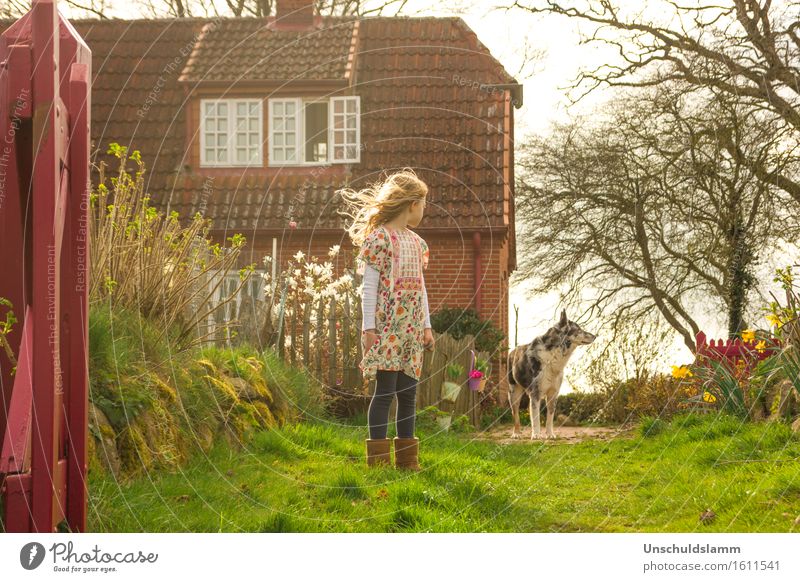 R. and the Wolf Living or residing House (Residential Structure) Garden Child Girl Infancy 3 - 8 years Nature Spring Animal Dog Fairy tale Retro Emotions Moody