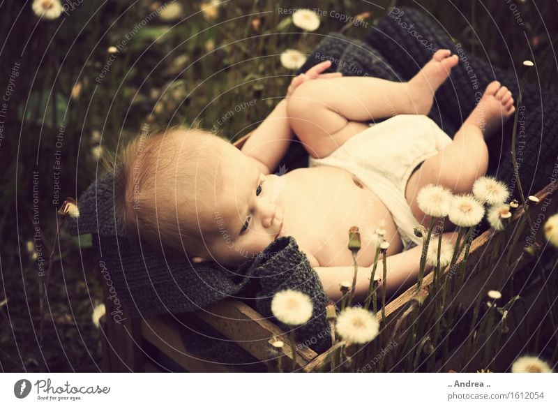 Dreaming in the green 2 Feminine Child Baby Toddler Girl Infancy 1 Human being 0 - 12 months Observe Blossoming Lie Sadness Faded Friendliness Happiness Happy