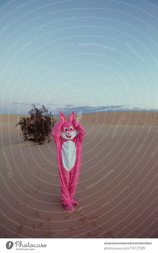 Listen up! Art Esthetic Hare & Rabbit & Bunny Pink Dune Desert Sand Ear Electronic wiretapping Listening Music Pelt Costume Far-off places Creativity