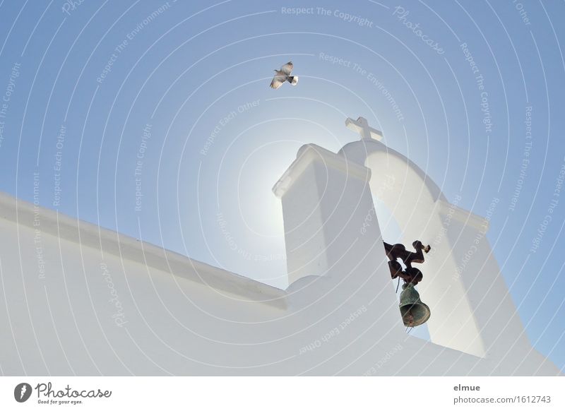 skywards Vacation & Travel Lanzarote Spain Church Church spire Bell tower Pigeon Crucifix Flying Illuminate Esthetic Blue White Emotions Contentment