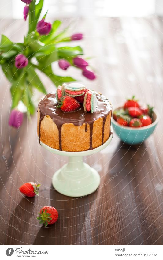 vegan cheesecake and macarons Dessert Candy Gateau Strawberry Nutrition Vegetarian diet Slow food Cake plate Summer Delicious Sweet Colour photo Interior shot