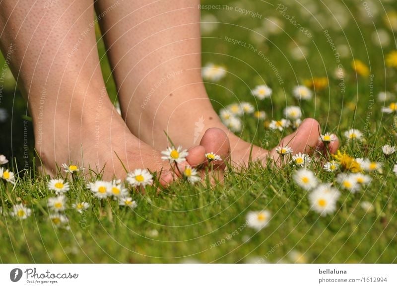 Spring - I'm ready! Picnic Human being Feminine Young woman Youth (Young adults) Woman Adults Life Legs Feet 1 13 - 18 years 18 - 30 years 30 - 45 years Nature