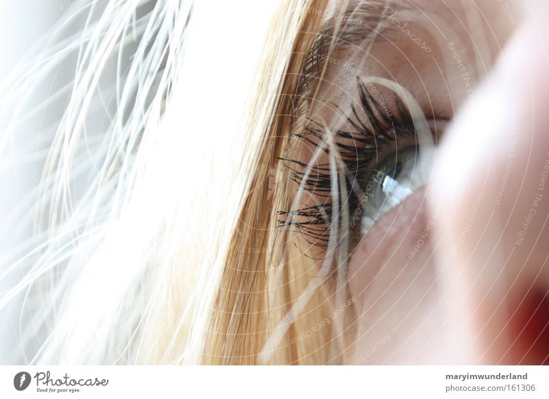 Lift your eyes! Hair and hairstyles Face Eyes Nose Blonde Hope Religion and faith Eyelash Close-up Macro (Extreme close-up)