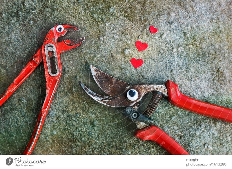 Yes, I want...! One pair of pliers and a pair of pruning shears with eyes and three red hearts on stone Work and employment Craftsperson Workplace