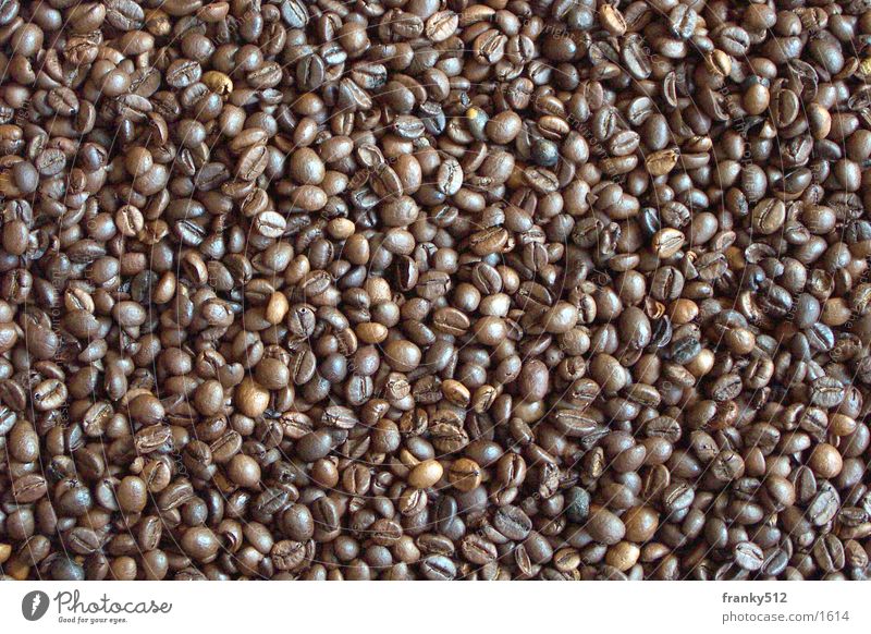 coffee break Espresso Coffee bean Beans Lifestyle espresso beans