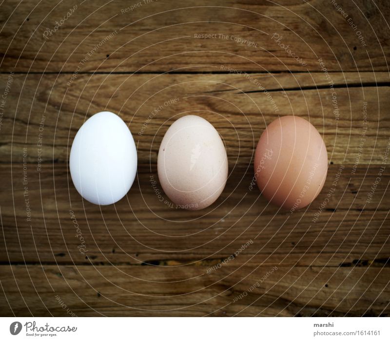 threesome Food Nutrition Moody Egg Hen's egg 3 Eggshell Easter Cholesterol Colour photo Interior shot Detail