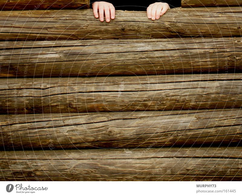 Help, I can't get up... Playing Toddler Hand Wood Children`s hand Wooden wall Wall (building) Tree trunk Helpless Wood grain Woody Detail
