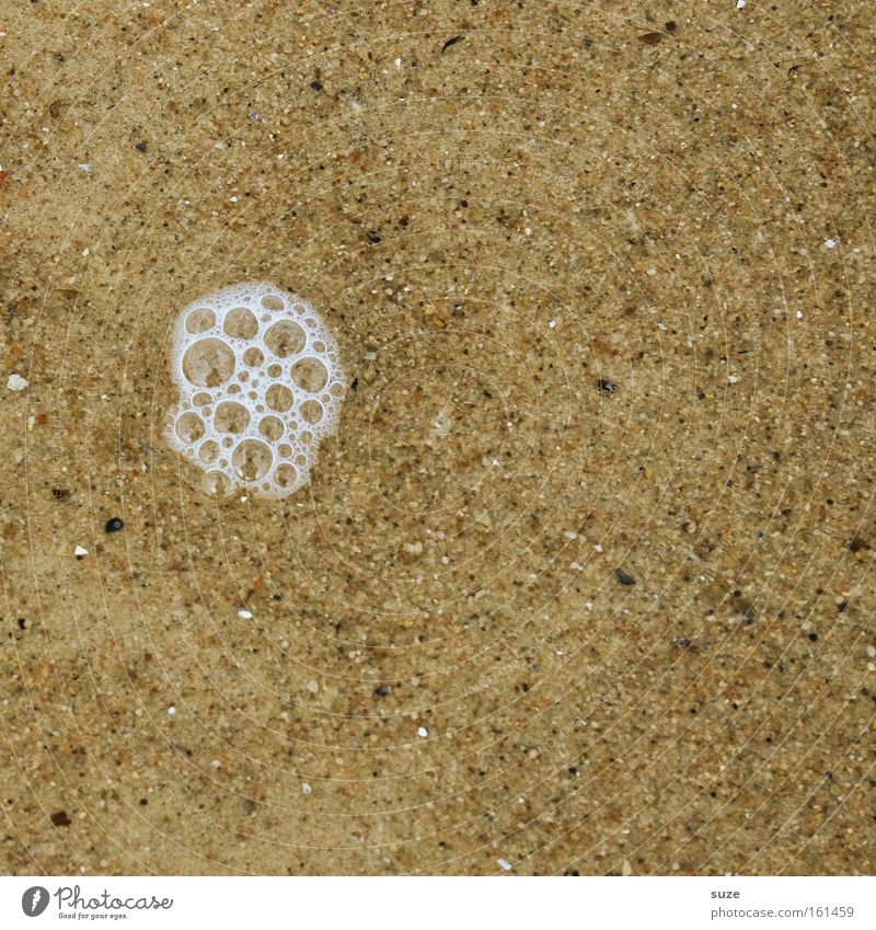 A little foam Sand Water Wet Foam Bubble Saliva Discover Background picture Natural Colour photo Subdued colour Exterior shot Close-up Detail Abstract