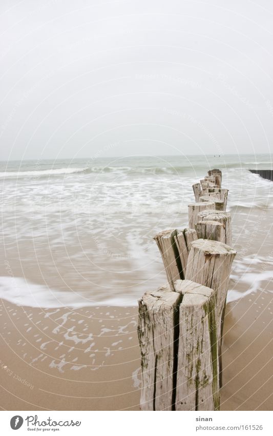 Zeeland North Sea beach Beach Water Ocean Bad weather Weather Cold Wood Waves Sand Wet Dreary Netherlands Horizon