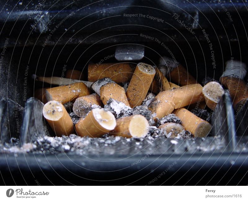 smokedesaster Nicotine Cigarette Club Smoke Trashy Cigarette Butt