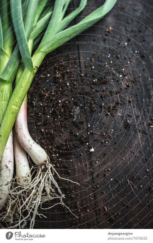 Fresh green garlic on dark wooden table Vegetable Herbs and spices Eating Vegetarian diet Nature Leaf Green Garlic spring Organic Leek Raw Odor Ingredients