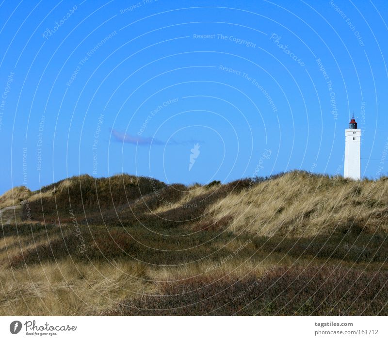 LEUCHTTURM FROM Blåvandshuk Blavands Huk Beach Lighthouse Beach dune Dune Grass Plant Summer Sky Vacation & Travel Leisure and hobbies Denmark Relaxation